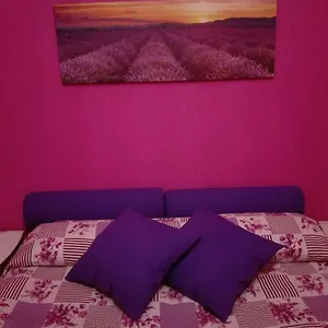La Casa Di Rosco Appartamento